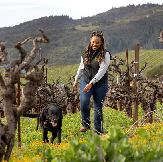 nv violet's paradise the veraison project sparkling brut, russian river valley, california