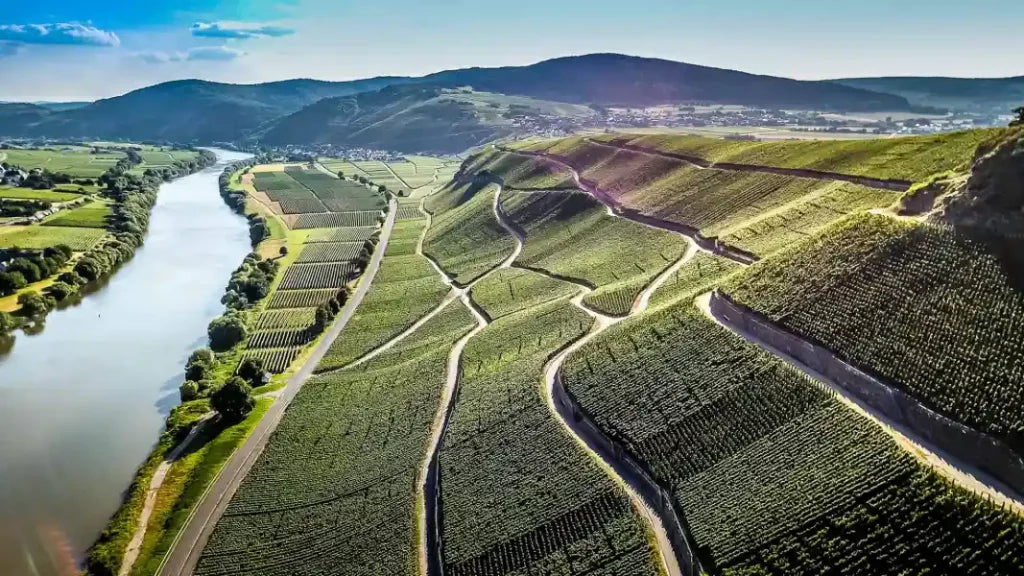 2023 steinmetz mosel wintricher geierslay trocken riesling
