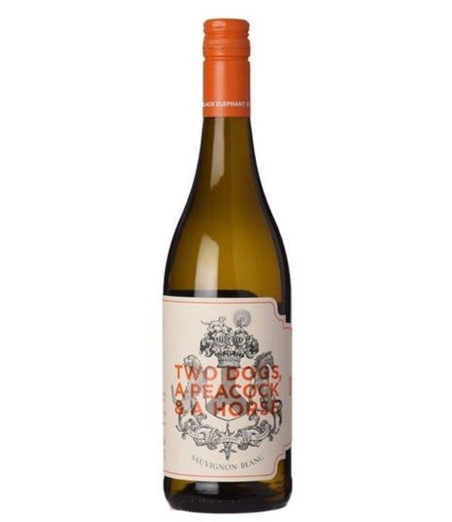 2023 black elephant – two dogs, a peacock, and a horse sauvignon blanc