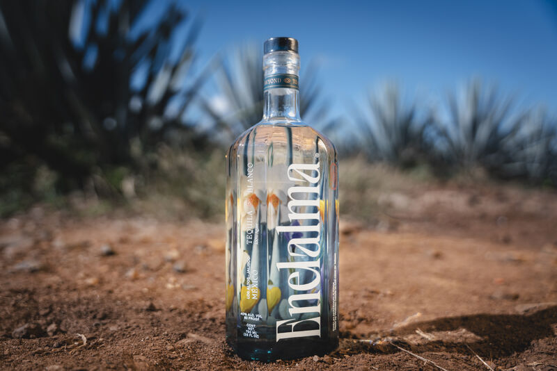 enelalma tequila blanco