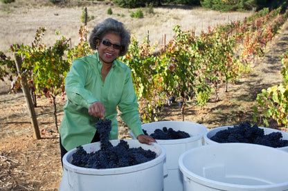 2022 Theo-patra’s Cuvée "Cerise" Yorkville Highlands, Mendocino County, CA