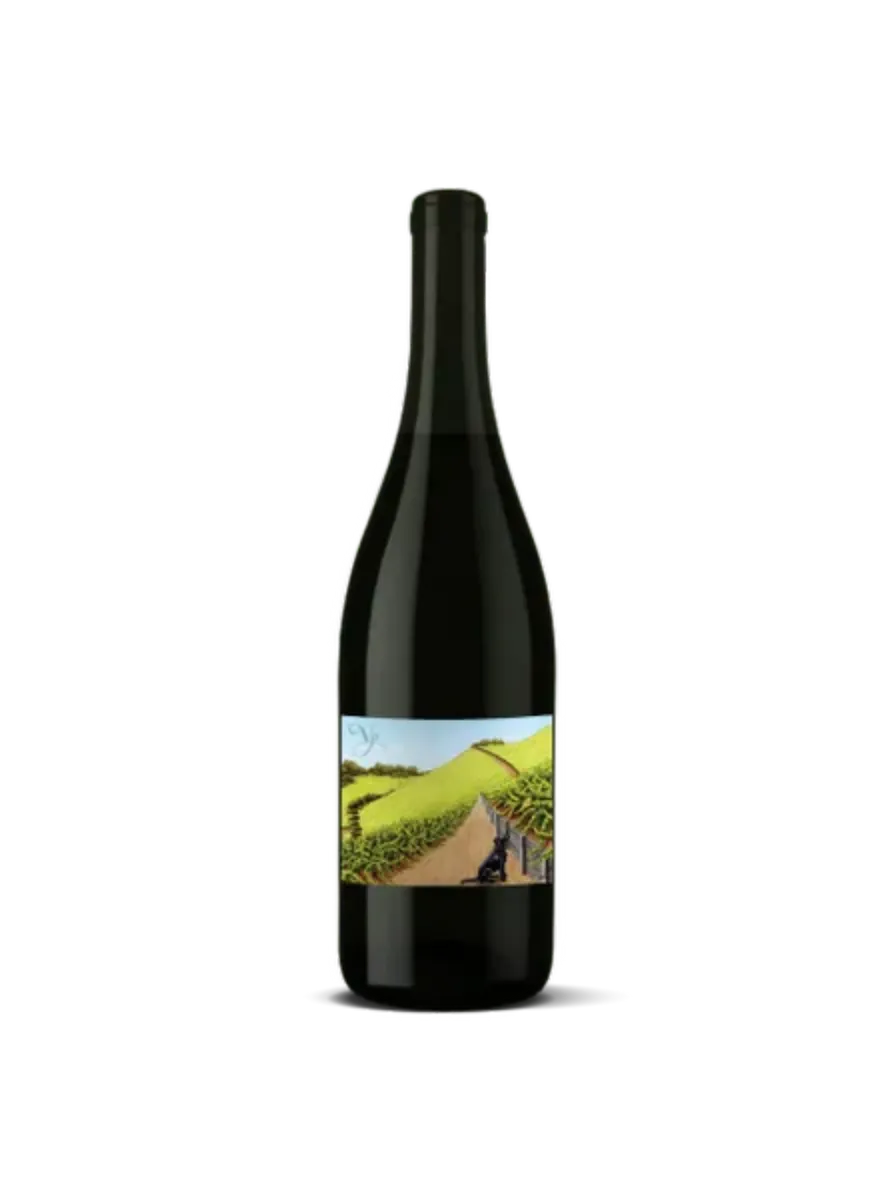 2023 violet's paradise, monte rosso vineyard grenache, moon mountain district ava, sonoma county, california