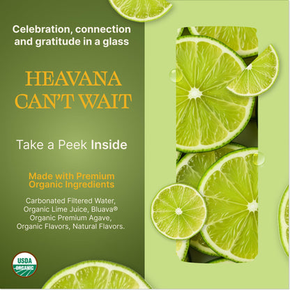 Medase Non-Alcoholic Craft Cocktails Variety (4-Pack Cans) – Margarita, Mojito, Moscow Mule, Rum Punch, Old Fashioned & Lemon Drop