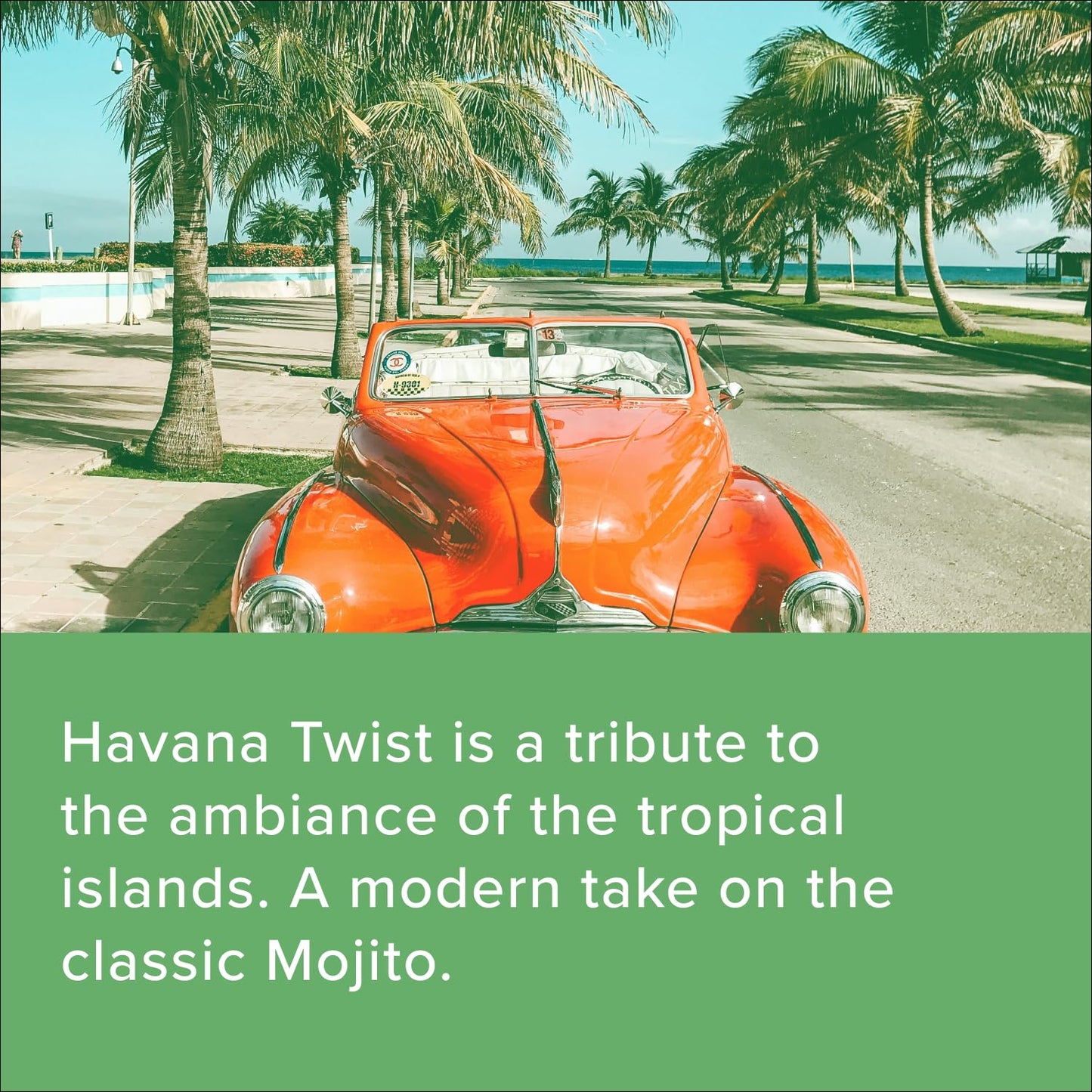 mocktail club havana twist sparkling non-alcoholic cocktail 12oz (4pk), 80 cals, gluten-free, no artificial ingredients, zero proof – with lime, cucumber, mint & cardamom