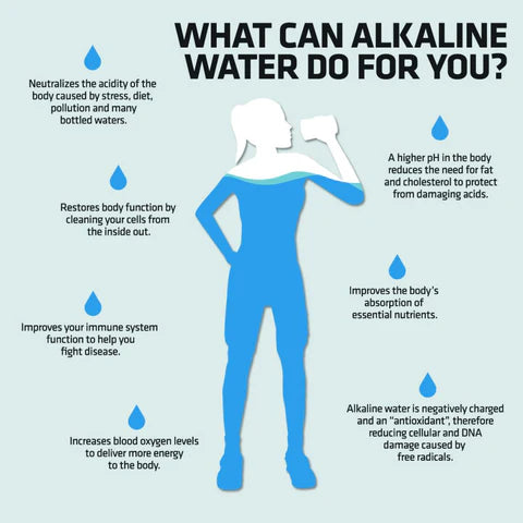 indulge premium natural artesian alkaline water (12 oz. bottle, 24-pack)