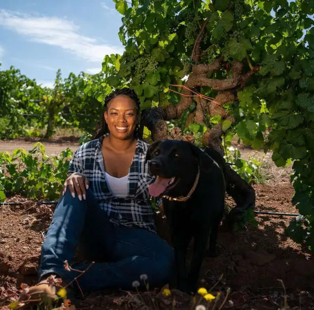 2023 violet's paradise, monte rosso vineyard cabernet franc, moon mountain district ava, sonoma county, california