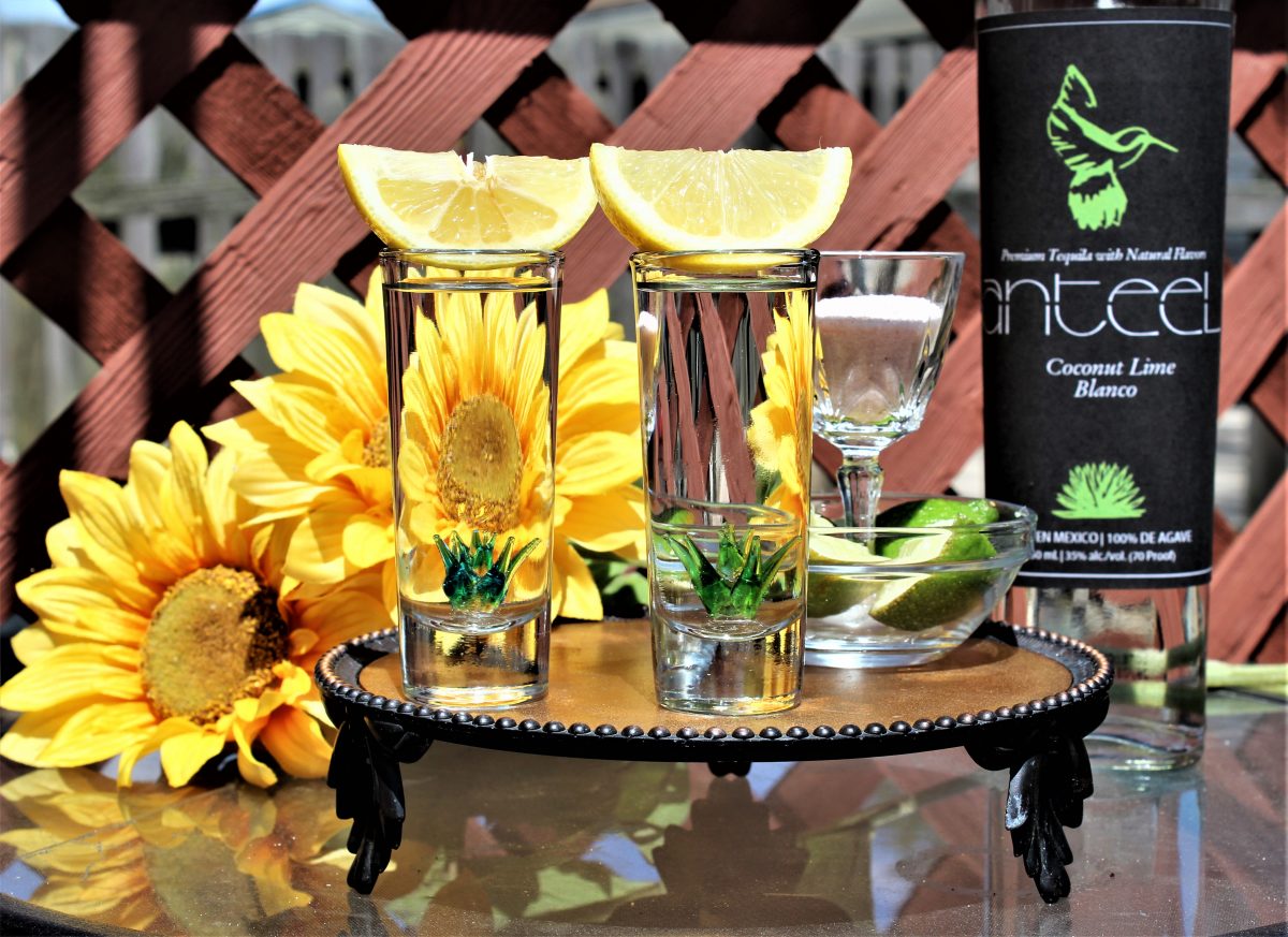 anteel coconut lime blanco tequila