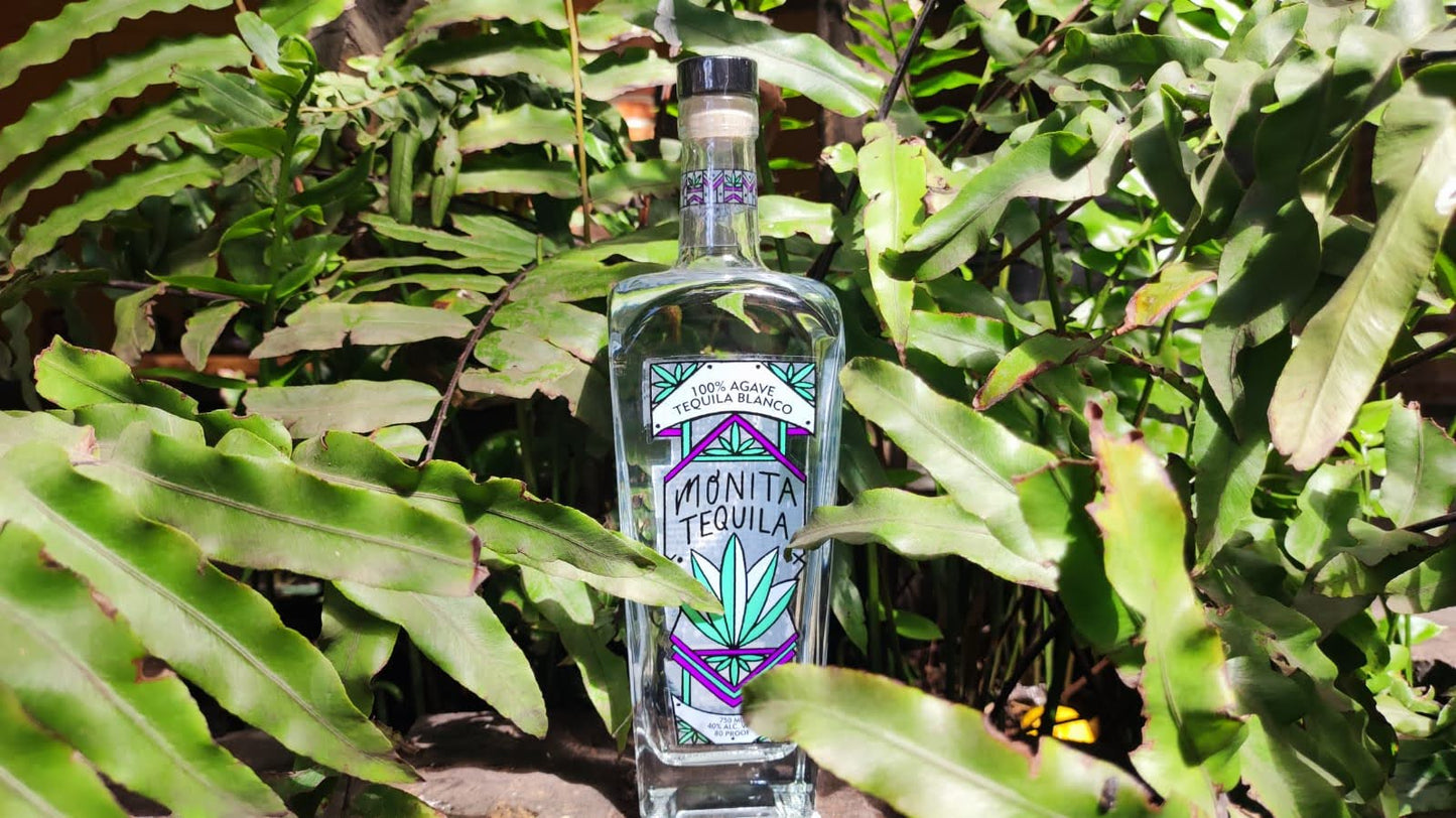 monita tequila