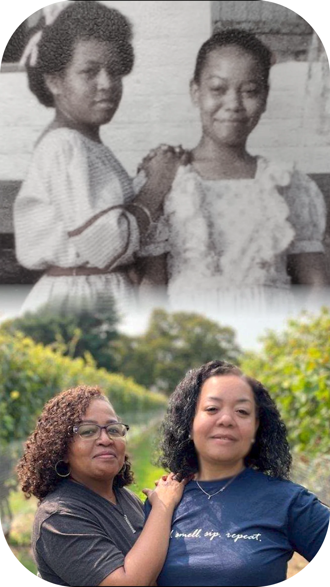 2022 narcisso cellars vidal blanc