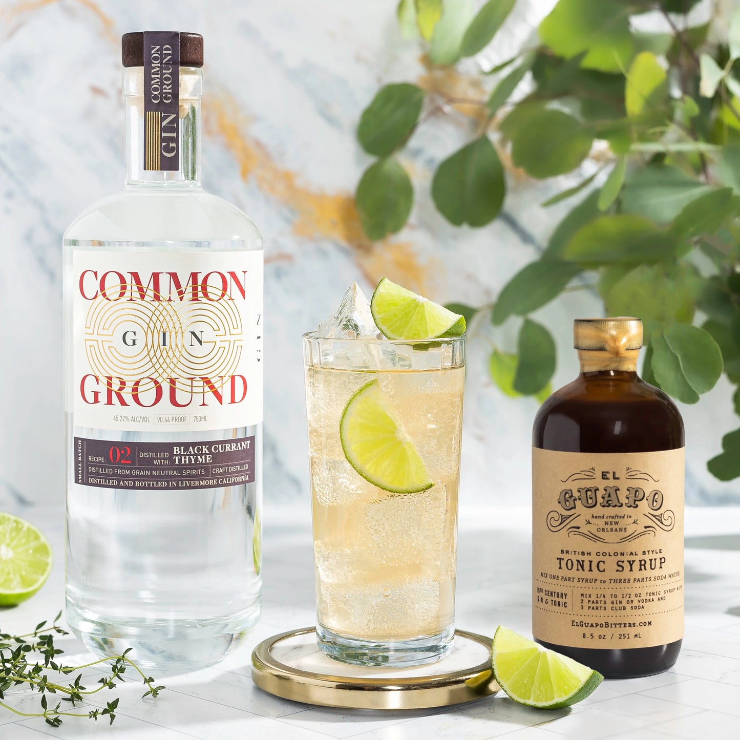 common ground gin recipe 02 - black currant & thyme