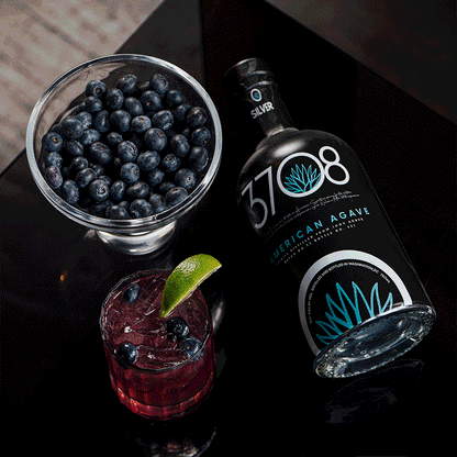3708 Silver Agave Spirit (Washington, DC)