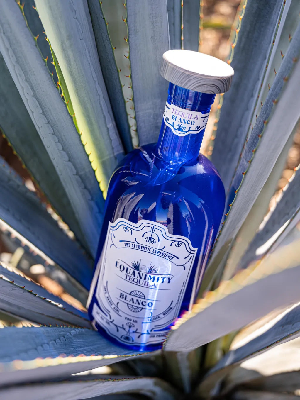 equanimity tequila