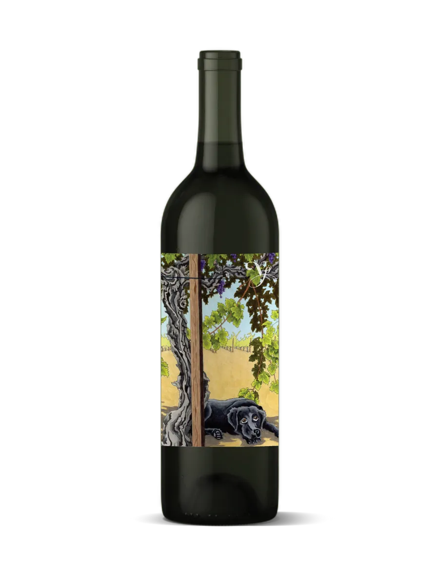 2023 violet's paradise, monte rosso vineyard cabernet sauvignon, moon mountain district ava, sonoma county, california