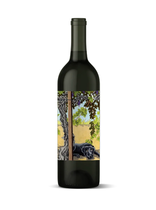 2023 Violet's Paradise, Monte Rosso Vineyard Cabernet Sauvignon, Moon Mountain District AVA, Sonoma County, California