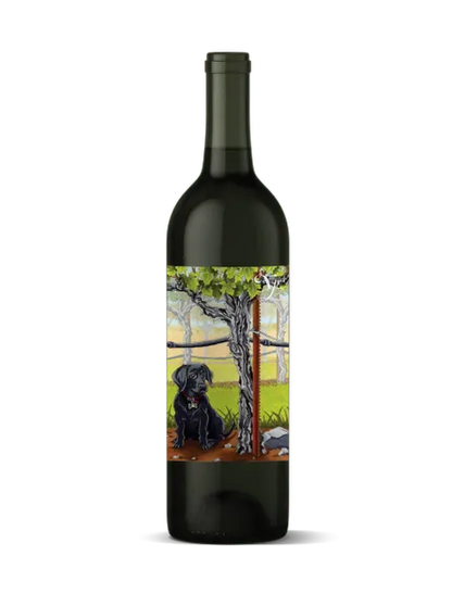 2023 Violet's Paradise, Monte Rosso Vineyard Cabernet Franc, Moon Mountain District AVA, Sonoma County, California