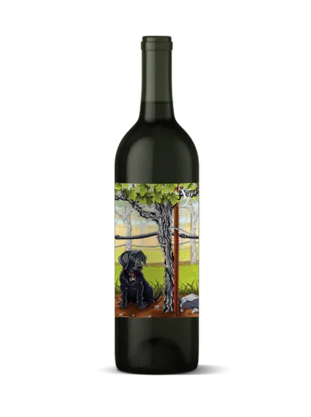 2023 Violet's Paradise, Monte Rosso Vineyard Cabernet Franc, Moon Mountain District AVA, Sonoma County, California